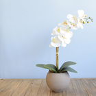 Arranjo Orquídea De Silicone Branca No Vaso M Fendi | Formosi